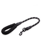 Golden Retriever Large Dog Rope Chain Pet Supplies
