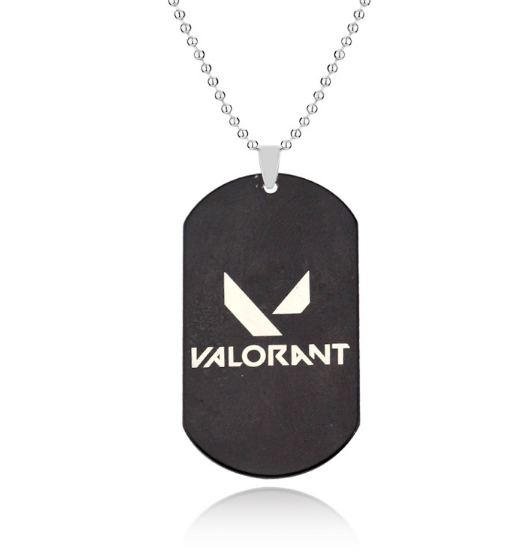 Tactical Dog Tag Necklace and Keychain Accessories
