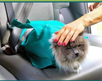 Cat Travel Backpack for Pets - Convenient Crossbody Bag