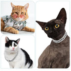 Hip Hop Dog Collar Necklace