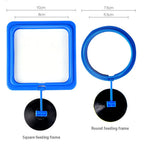 Aquarium Feeding Ring for Small Fish Tanks and Accessories