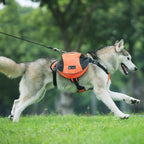 Pet Backpack with Reflective Strips for Safety