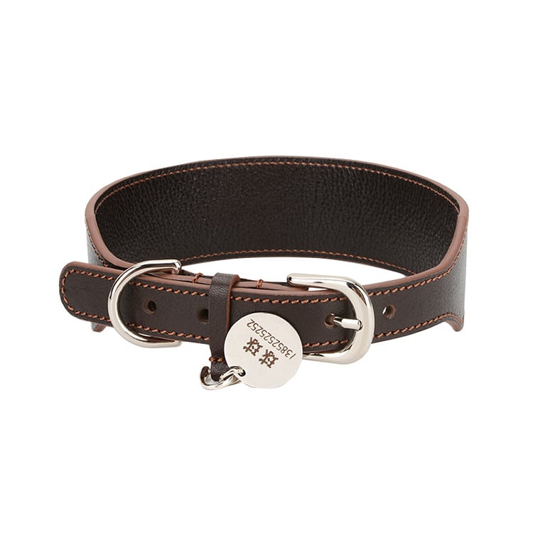 Portable Puppy Collar Necklace with Towing Rope