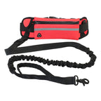 Pet Purse Leash