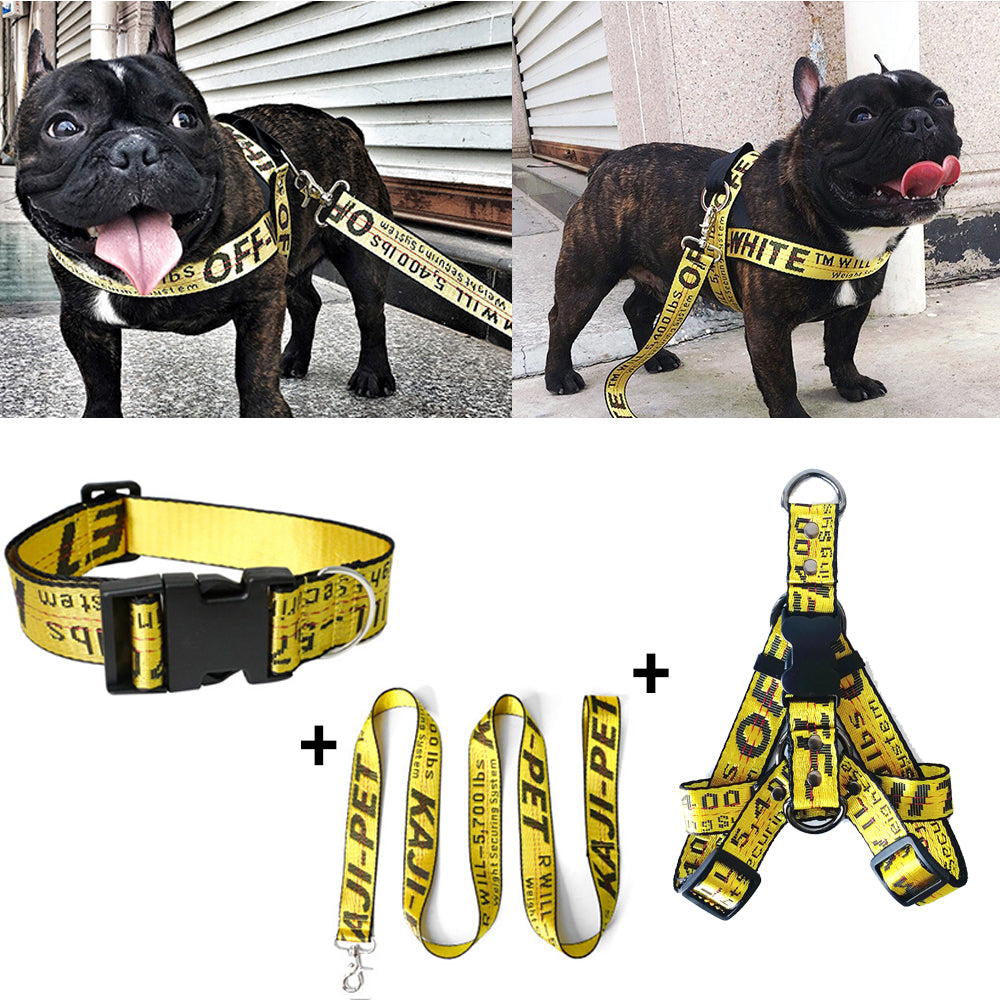 Gold Chain Nylon Dog Collar and Leash Set for Pets