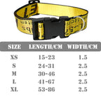 Gold Chain Nylon Dog Collar and Leash Set for Pets