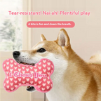 Pet Plush Molar Toy