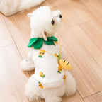 Cute Breathable Pineapple Dog Clothes Backpack
