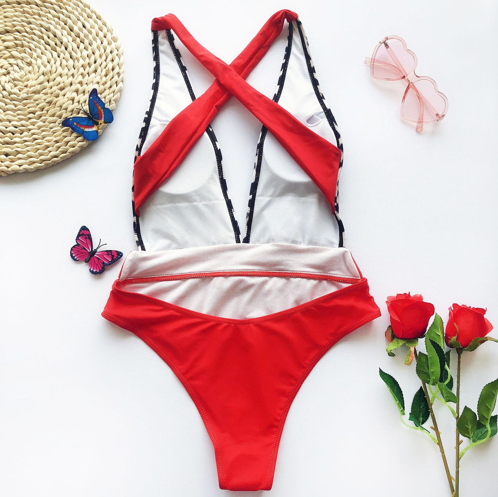 Color Block Plunge One-Piece Swimsuit with Belt