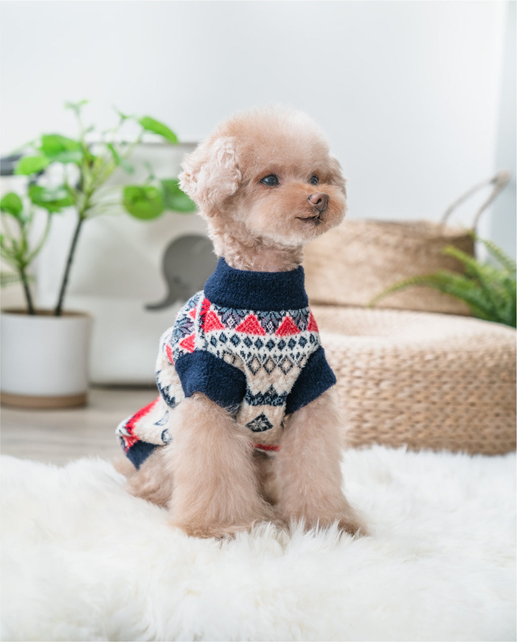 Imitation Mink Velvet Teddy Clothes with Creative Patterns