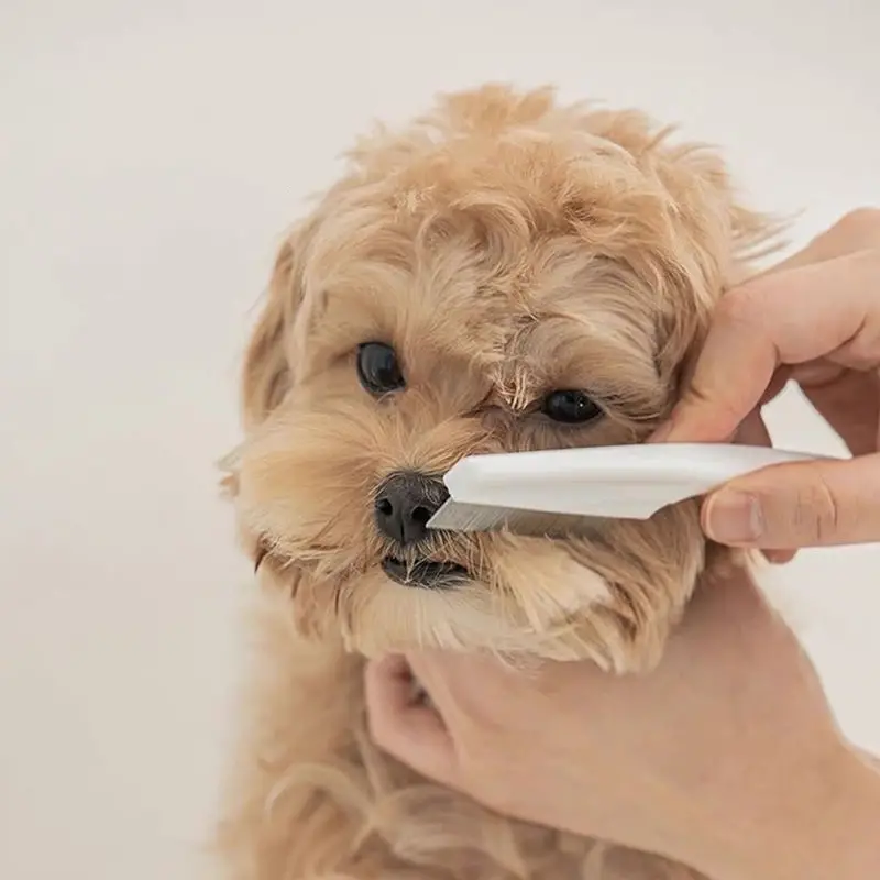 Stainless Steel Pet Comb for Dogs and Cats