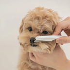 Stainless Steel Pet Comb for Dogs and Cats