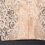 Lace High-Waisted Women's Shorts
