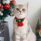 Winter Dog Scarf and Cat Hat Bib Jewelry Set