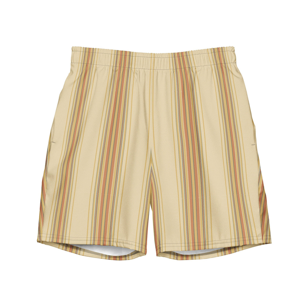 Men's Striped Swim Trunks