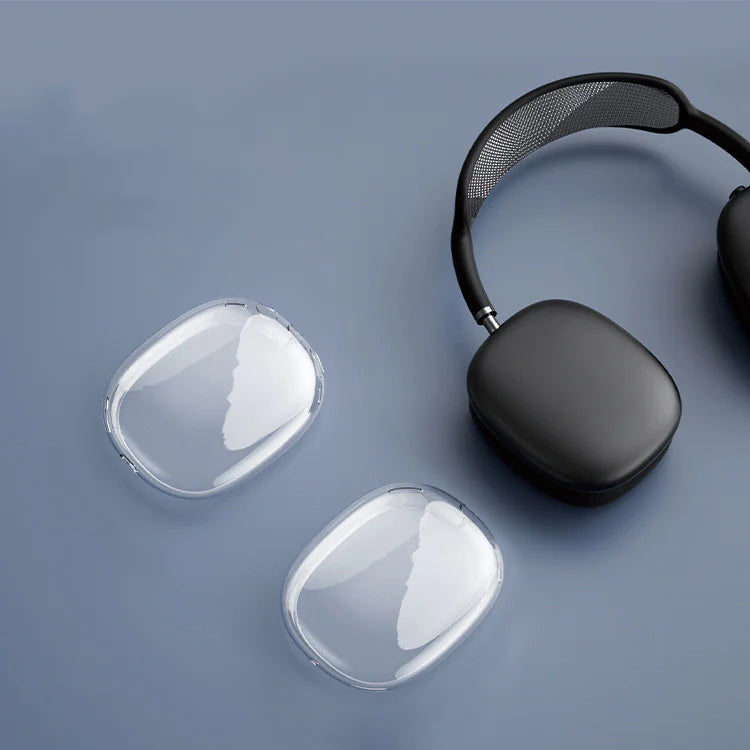 Dustproof Earphone Case | Accessory