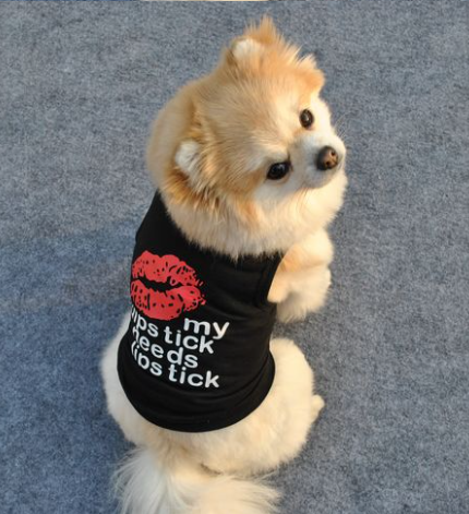 Breathable Black Summer Vest for Teddy Bichon