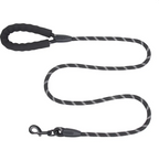 Pet Harness