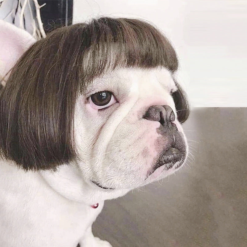 Pet Wigs for Dogs and Cats - Halloween Costumes