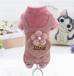 Teddy Bichon Pomeranian Chihuahua Plush Coat