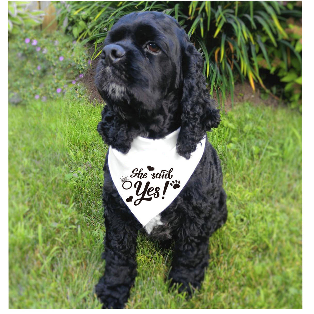 White Valentine's Day Dog Wedding Jewelry Towel