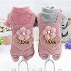 Teddy Bichon Pomeranian Chihuahua Plush Coat