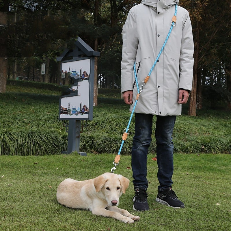 Multifunctional Hook and Chain Leather Dog Rope