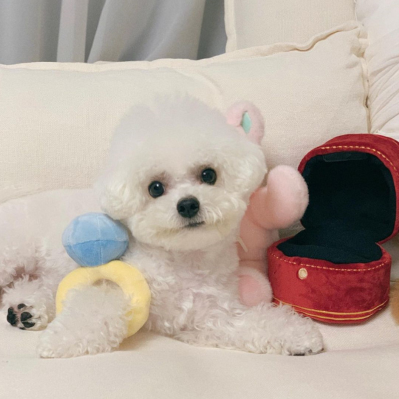 Ring Dog Squeaky Toy