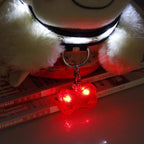 LED Pet Tag Pendant, Safe Dog Collar Accessory