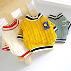 Teddy Sweater for Spring and Autumn Fashion Style