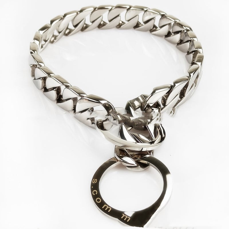 Polished Dog Necklace with Neck P Chain Ring