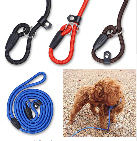 Pet Leash 1.0 for Dogs - Teddy, Bichon, Poodle