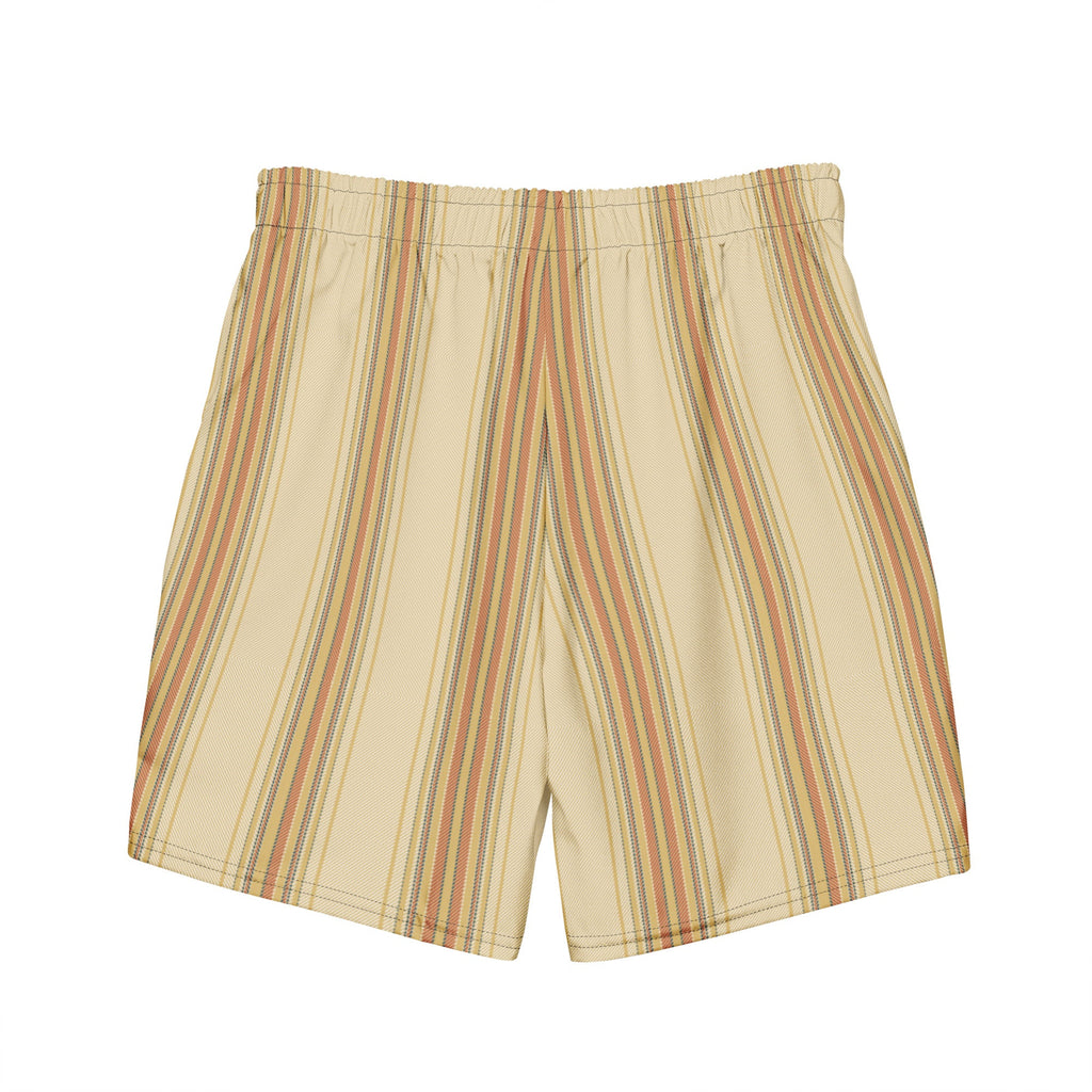 Men's Striped Swim Trunks