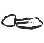 Car Safety Leash with Ring for Dogs in Vehicles
