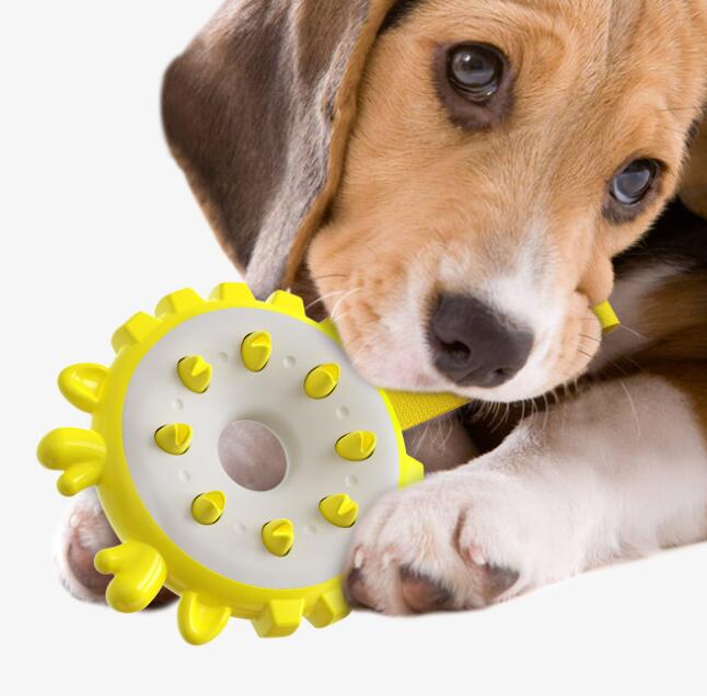 Dog Toothbrush Ring Toy for Bite Resistance Training