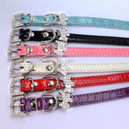 Crocodile Pattern Dog Pendant Pet Collar and Leash