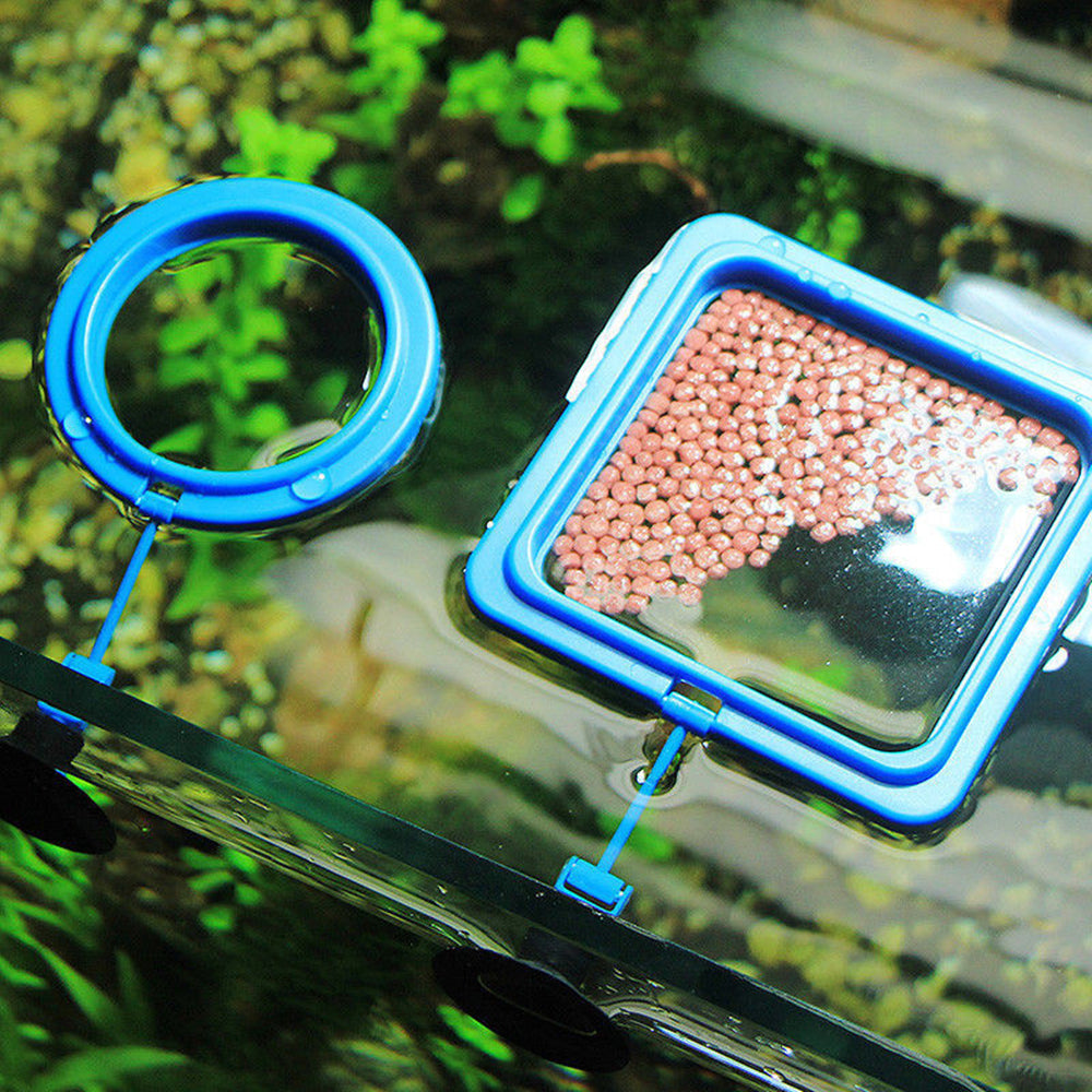 Aquarium Feeding Ring for Small Fish Tanks and Accessories