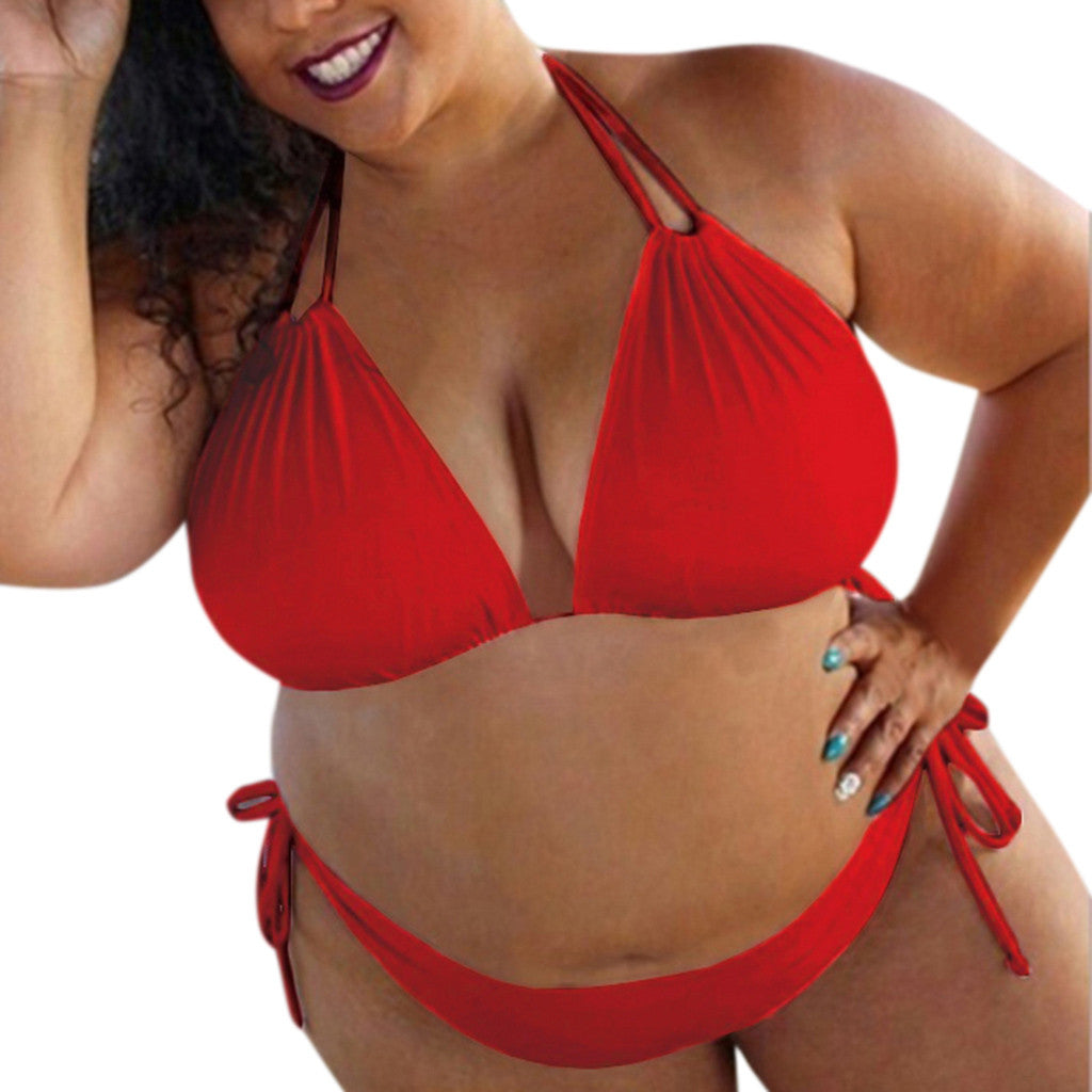2019 Trendy Plus Size Halter Bikini Swimsuit for Women