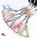Nylon Fashion Pet Leash with Chest Strap and Chain