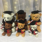 Plush Doctor Bear Toy Gift - Graduation Teddy Bear | Home Decor