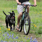 Detachable Dog Walker Harness with Bicycle Traction Chain
