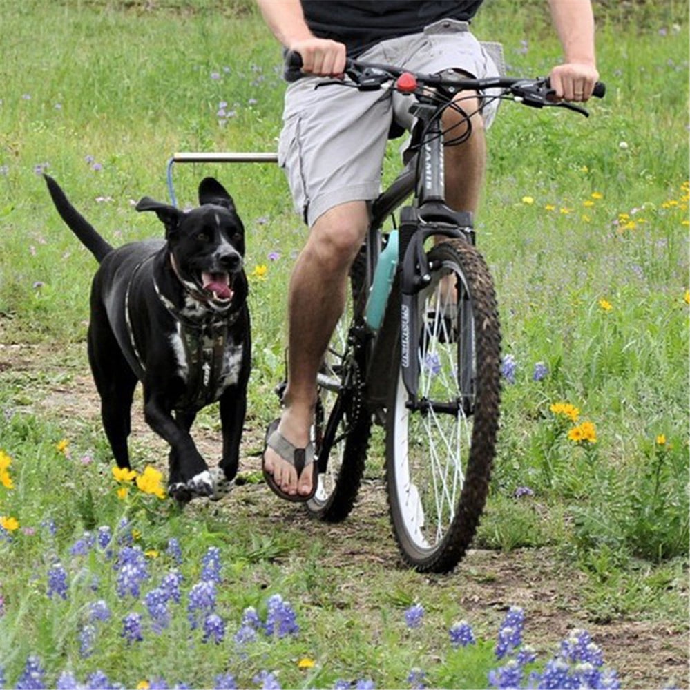 Detachable Dog Walker Harness with Bicycle Traction Chain