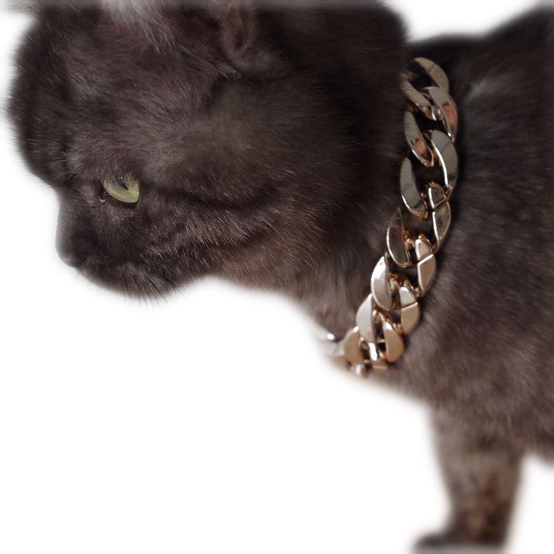 Gold-Plated Necklace for Pet Dogs