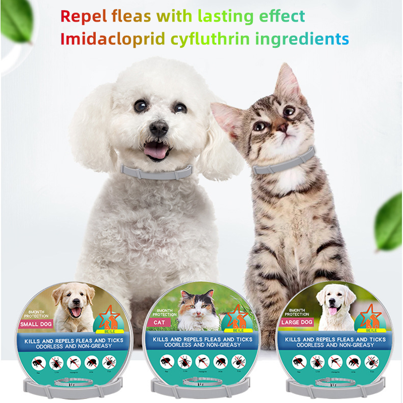 Insect Repellent Ring for Cats and Dogs Collar