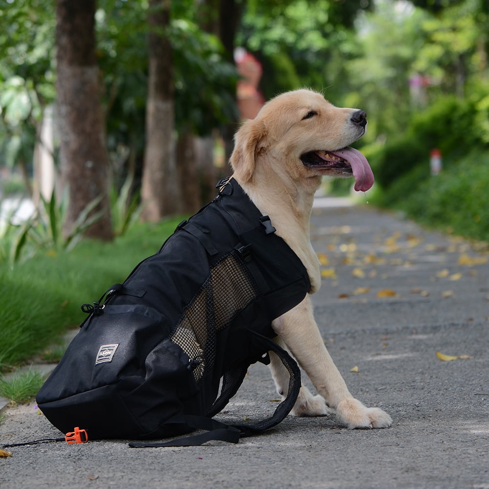 Ventilated and Washable Pet Backpack Carrier