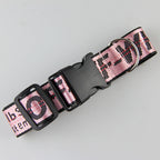 Gold Chain Nylon Dog Collar and Leash Set for Pets