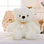 Glowing LED Teddy Bear Plush Toy | Home Decor
