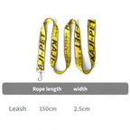 Gold Chain Nylon Dog Collar and Leash Set for Pets