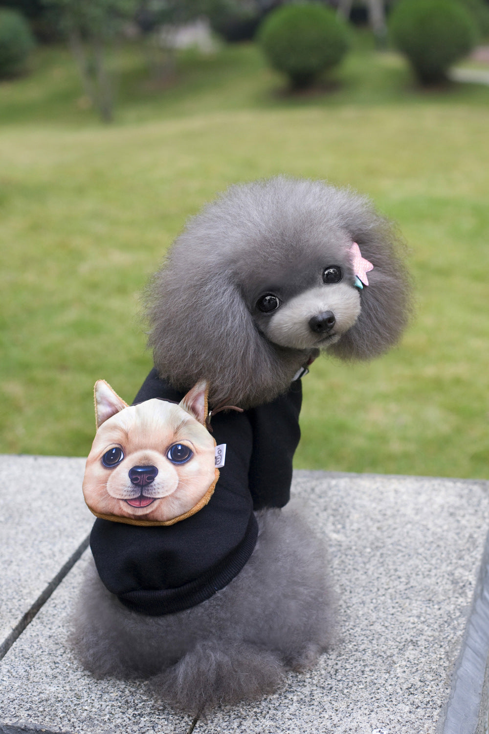 Dog Backpack Sweater for Teddy and Other Small Breeds