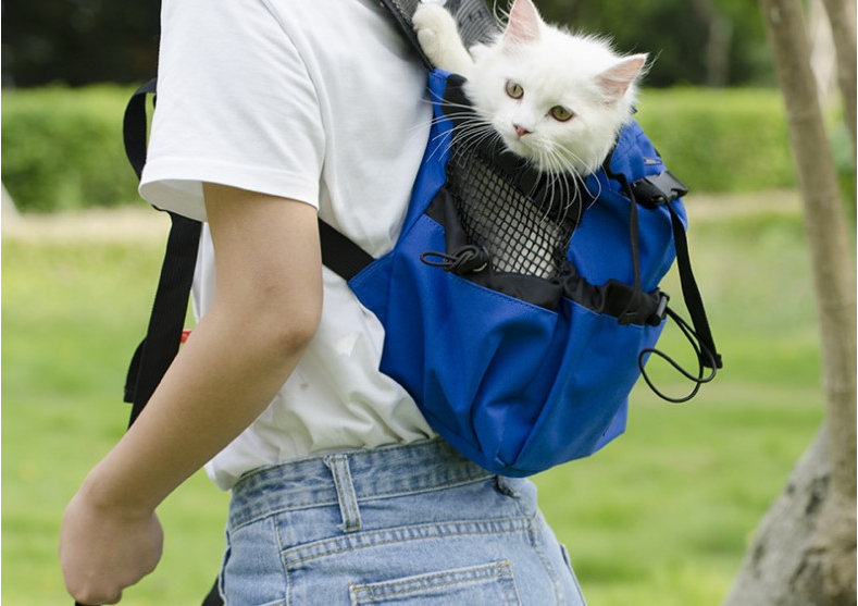 Ventilated and Washable Pet Backpack Carrier